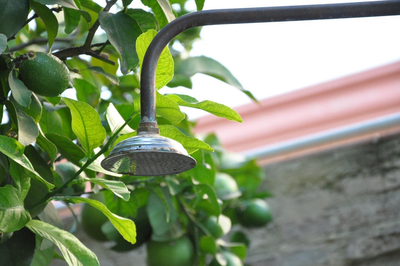 Lemon Garden Hostel Sevilla Ngoại thất bức ảnh