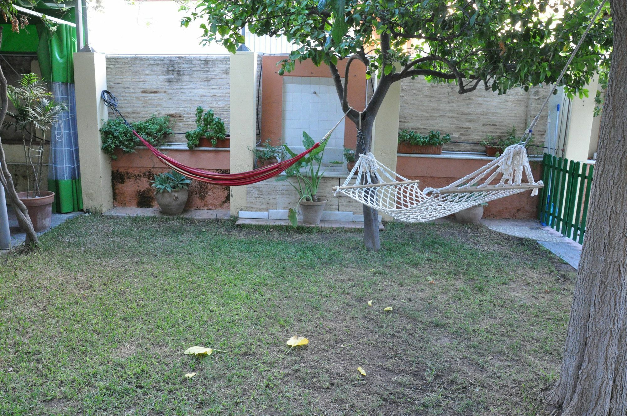 Lemon Garden Hostel Sevilla Ngoại thất bức ảnh